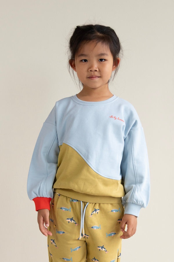 Sticky Lemon Sweater | Colourblocking | Zissou Blue + Reed Green