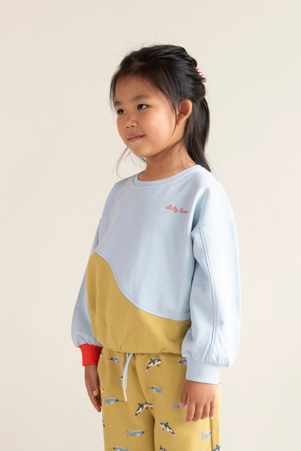 Sticky Lemon Sweater | Colourblocking | Zissou Blue + Reed Green