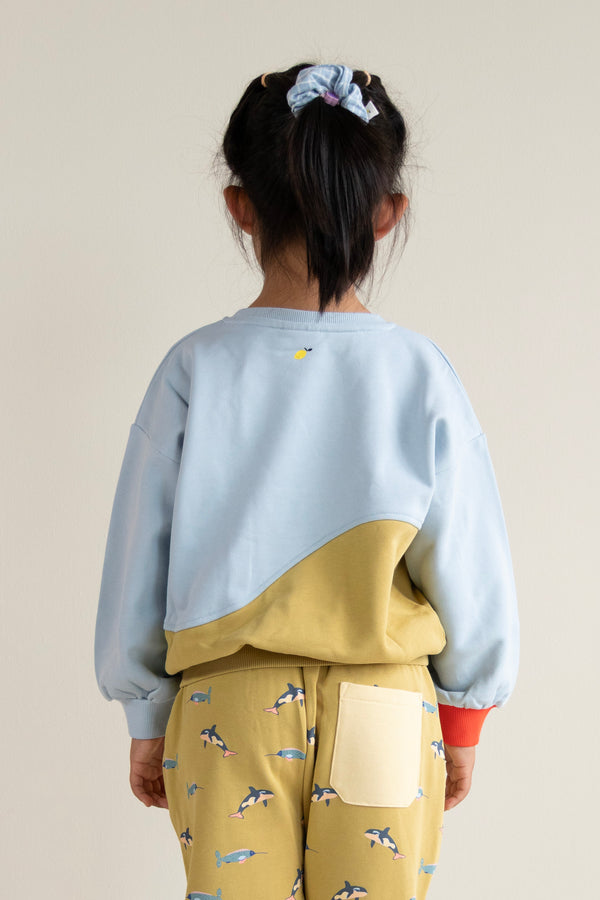 Sticky Lemon Sweater | Colourblocking | Zissou Blue + Reed Green
