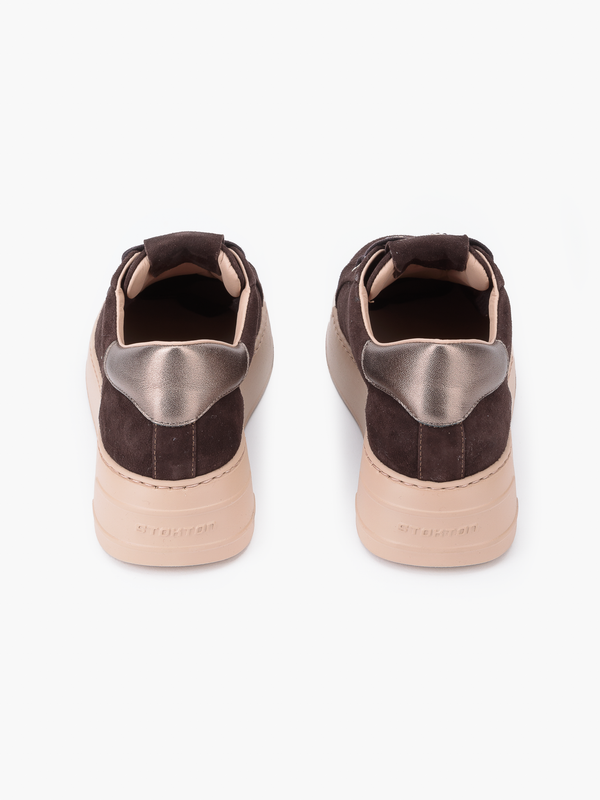 Stokton 226D CIOCCOLATO