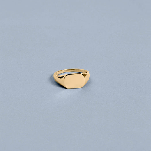 Stone And Strand Chunky Signet Ring
