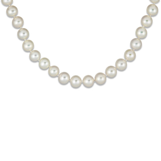 Stone And Strand Daily Pearl Choker
