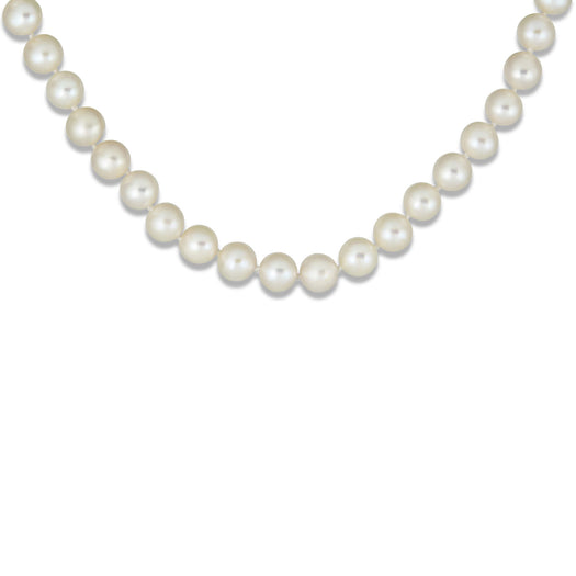 Stone And Strand Daily Pearl Necklace