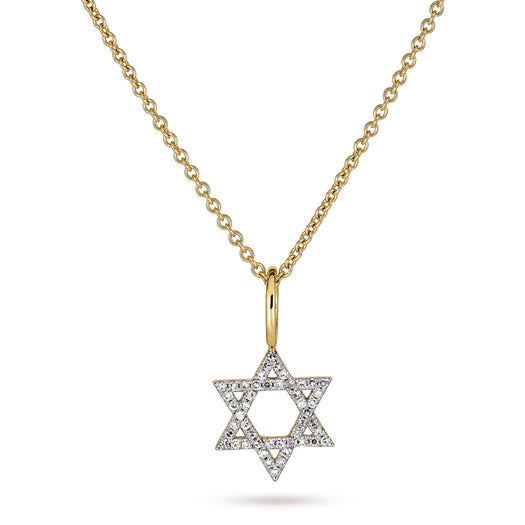 stone and strand Pave Star of David Necklace