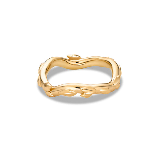 Stone And Strand Secret Garden Band