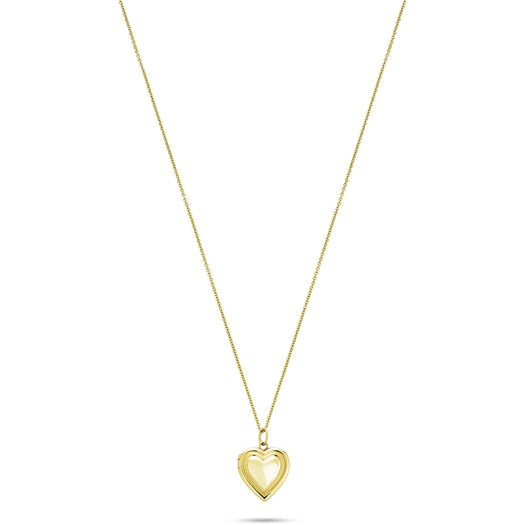 Stone And Strand Wholehearted Locket