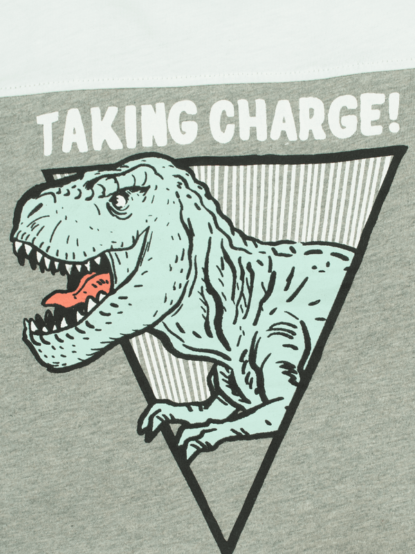 Stone Harbor BOY'S TAKING CHARGE GRAPHIC SUITE