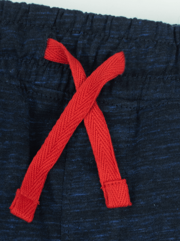 Stone Harbor BOY'S TEXTURED BLUE GRAPHIC JOGGER