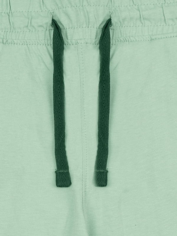 Stone Harbor WOMEN'S SAGE GREEN JOGGER