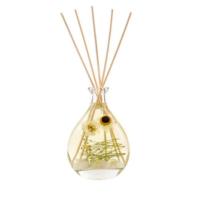 Stoneglow Nature's Gift - Beach Daisy - Scented Reed Diffuser (180ml)
