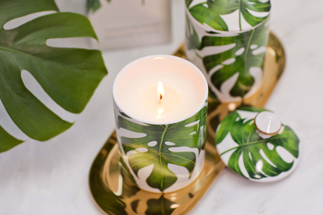 Stoneglow Urban Botanics - Ceramic - Coconut | Lime Zest - Scented Candle (150 X 85mm)