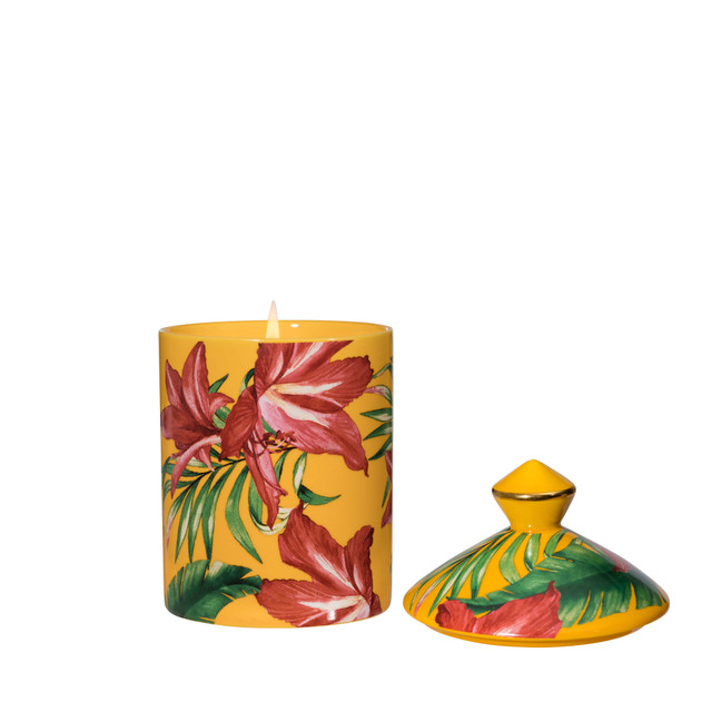 Stoneglow Urban Botanics - Ceramic - Yuzu | Mango - Scented Candle (750 X 85mm)