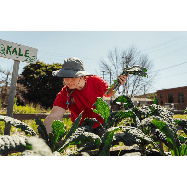 Stormy Kromer The Forager Hat