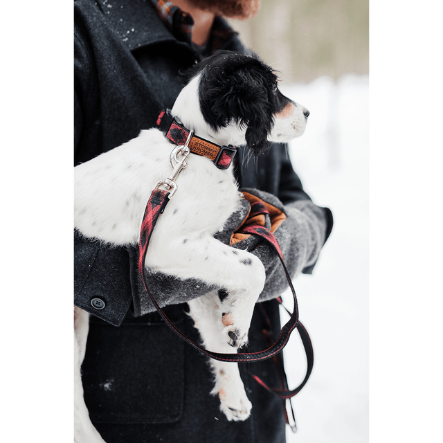 Stormy Kromer The Pet Collar