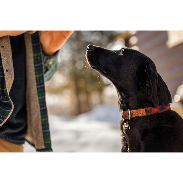 Stormy Kromer The Pet Collar