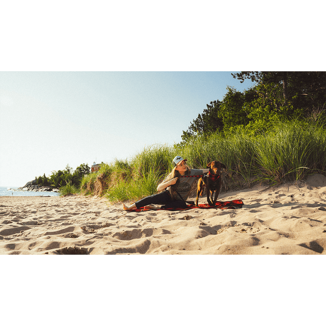 Stormy Kromer The Pet Leash