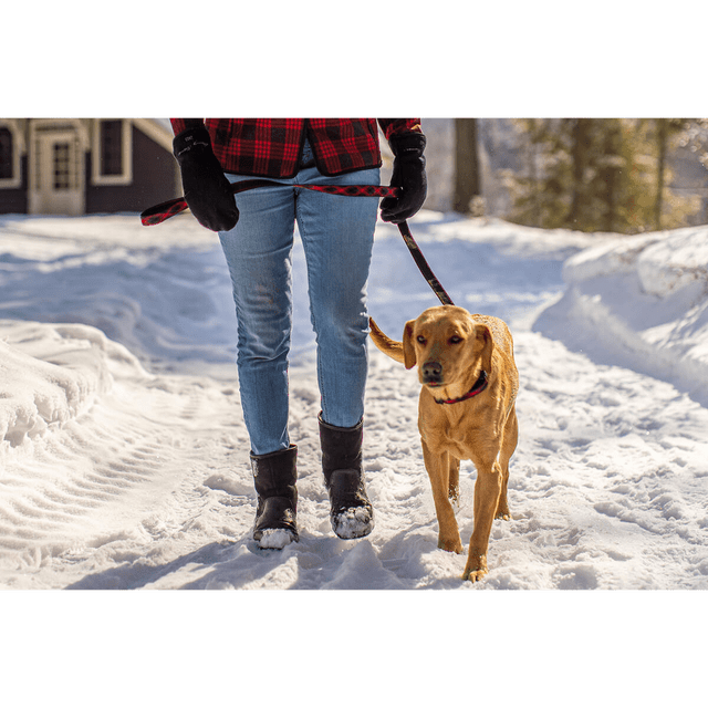 Stormy Kromer The Pet Leash