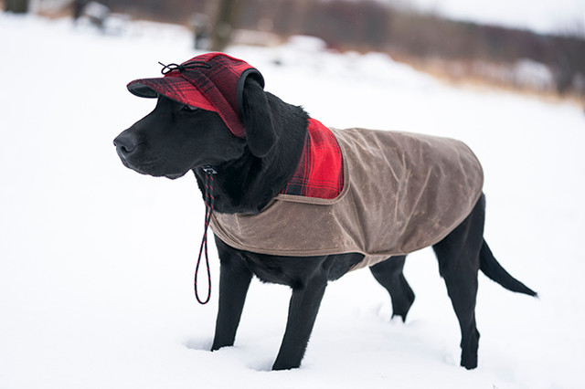 Stormy Kromer The SK Waxed Cotton Dog Jacket