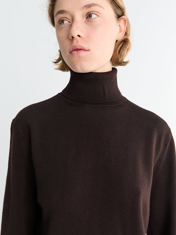 Stoy Eve Thin Turtleneck Sweater In Dark Brown