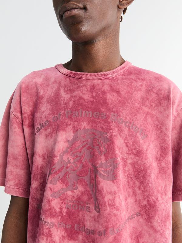 Stoy Lake T-shirt In Red