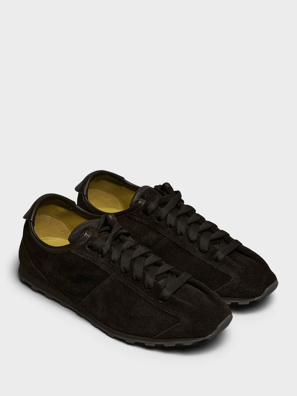 Stoy Les Tennis Shoes In Dark Brown