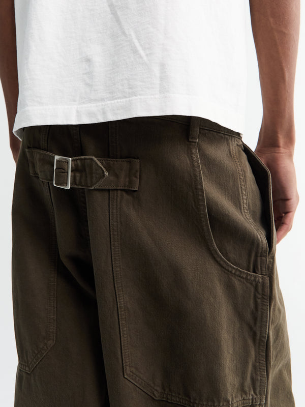Stoy Pleated Carpenter Pants In Peat
