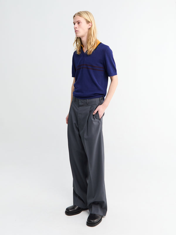 Stoy Pleated Tailored Pants In Carbon