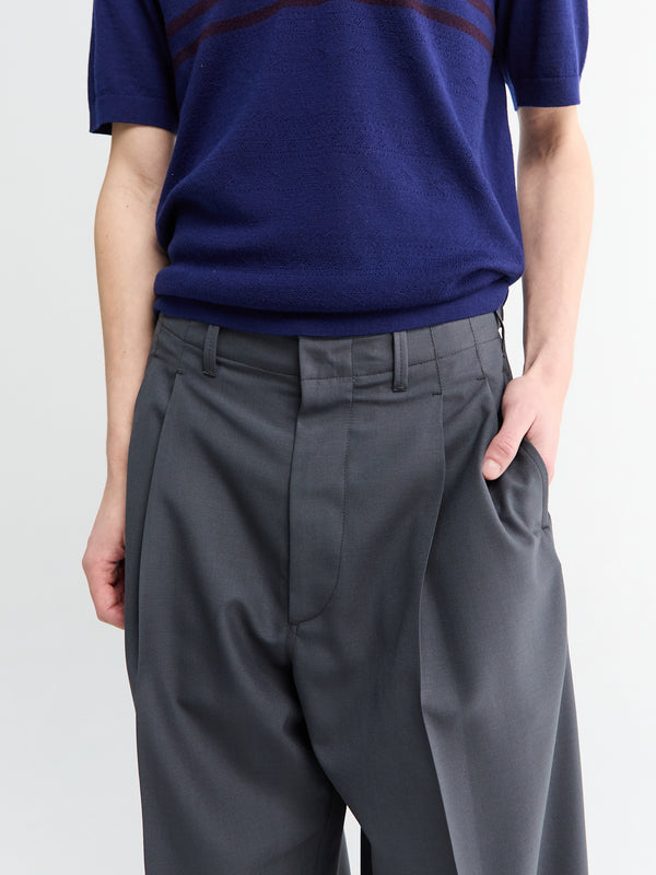 Stoy Pleated Tailored Pants In Carbon