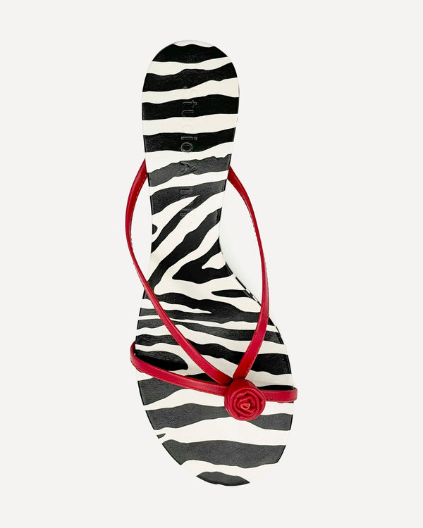 Studio Amelia Valencia 50 Heel