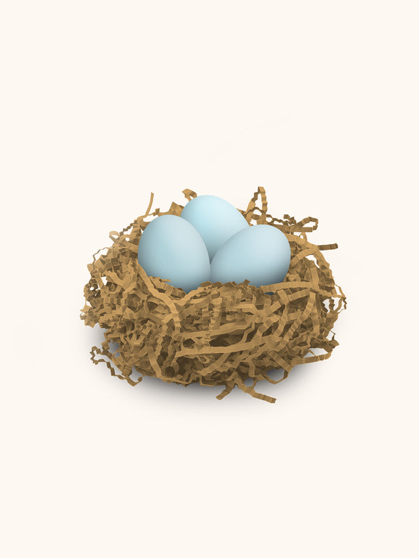 Studio Oh Best Mom Ever Flowers Bird Egg Bath Bombs