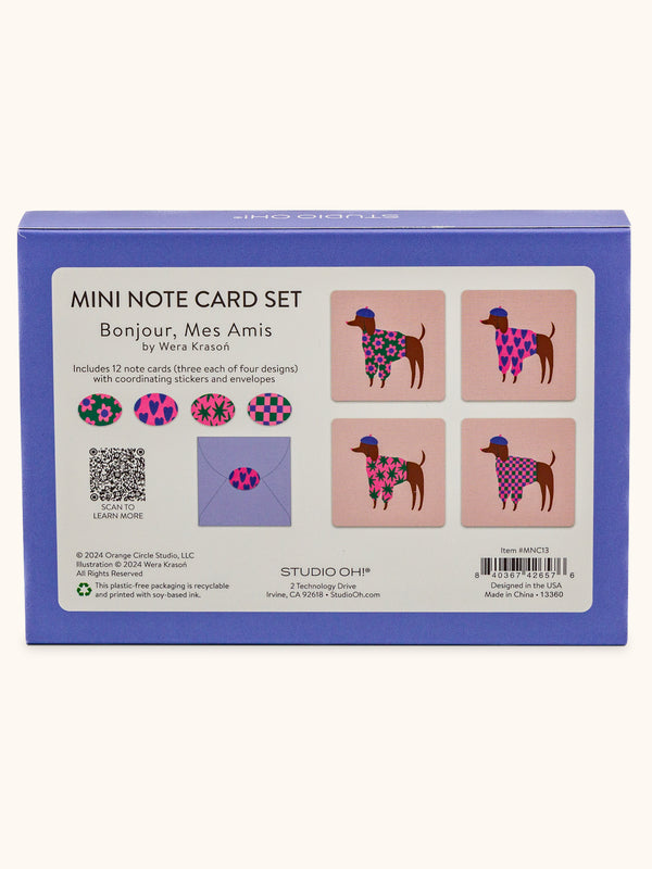 Studio Oh Bonjour Mes Amis Mini Note Card Set With Stickers