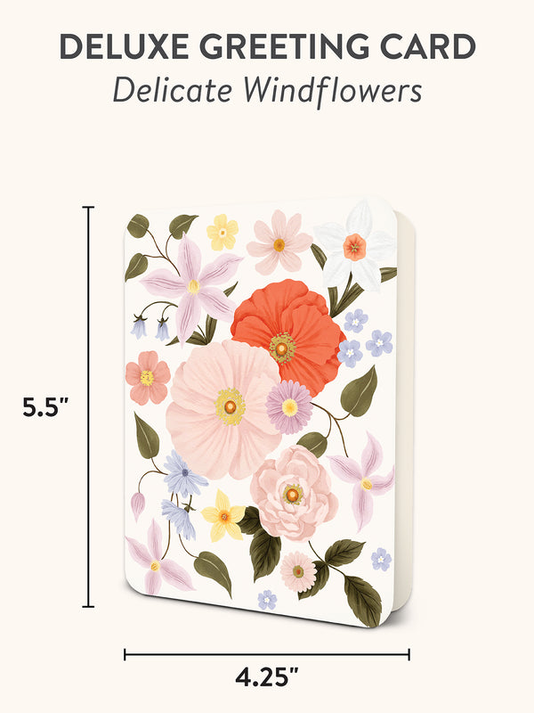 Studio Oh Delicate Windflowers Deluxe Greeting Cards