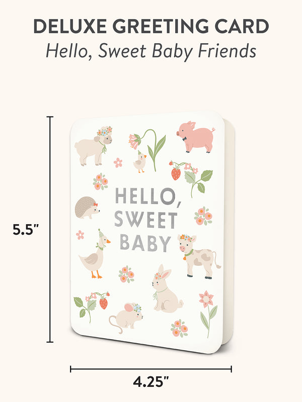 Studio Oh Hello Sweet Baby Friends Deluxe Greeting Cards
