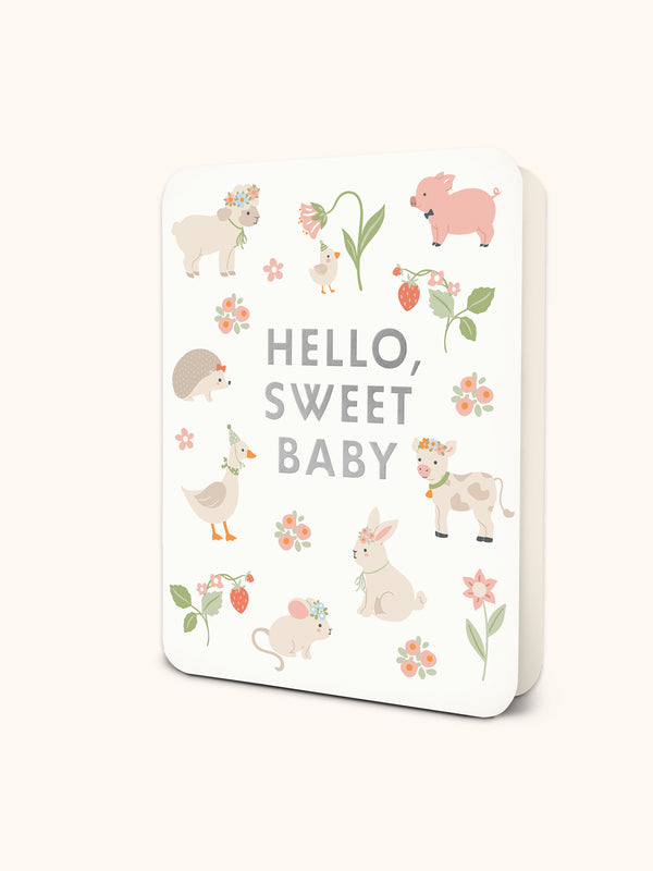 studio oh Hello Sweet Baby Friends Deluxe Greeting Cards