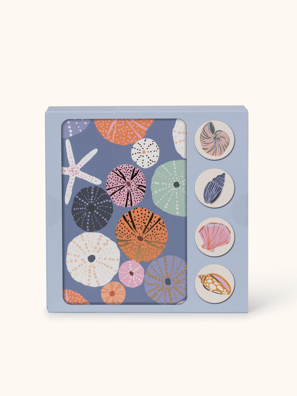 studio oh Seaside Discoveries Assorted Note Card Set with Stickers