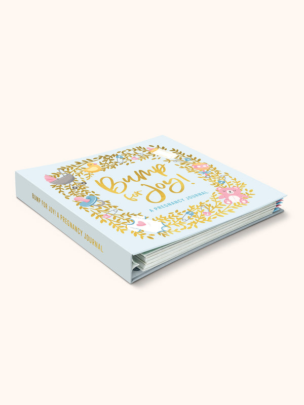 Studio Oh Bump For Joy Guided Journal (Blue)