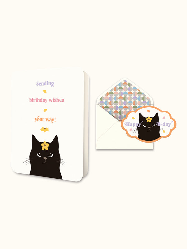 studio oh Daisy Cat Birthday Deluxe Greeting Card