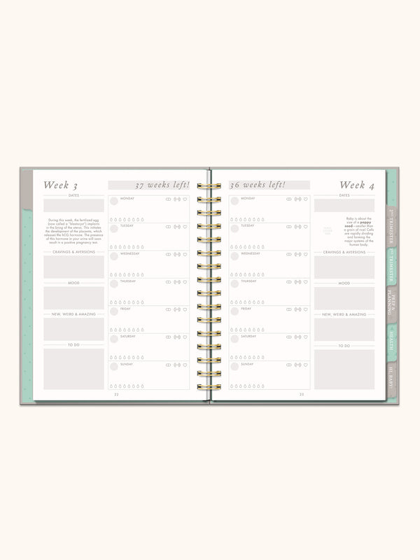 Studio Oh Undated Pregnancy Planner & Journal