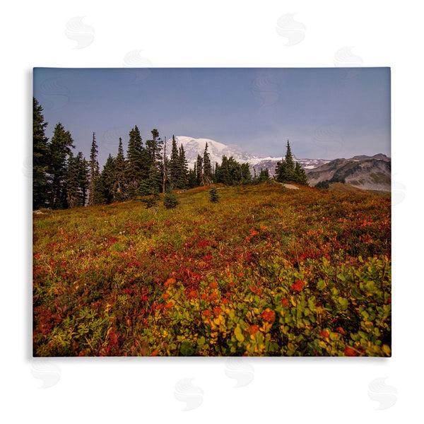 stupell industries Aaron Matheson | Mountain Meadow Scenery Wall Art