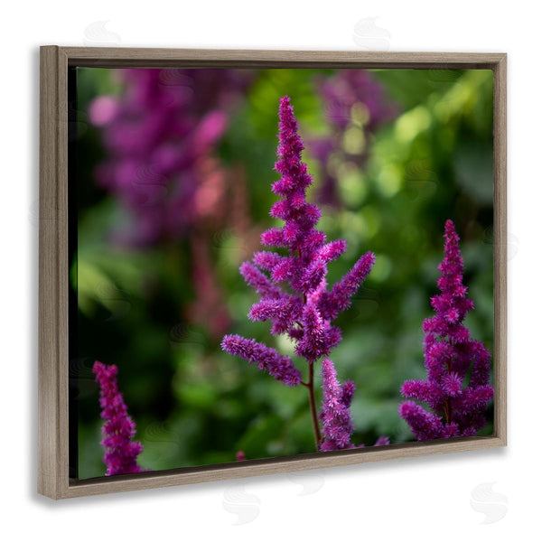 Stupell Industries Aaron Matheson | Purple Flower In Nature Wall Art