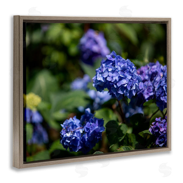 Stupell Industries Aaron Matheson | Purple Hydrangea Photography Wall Art