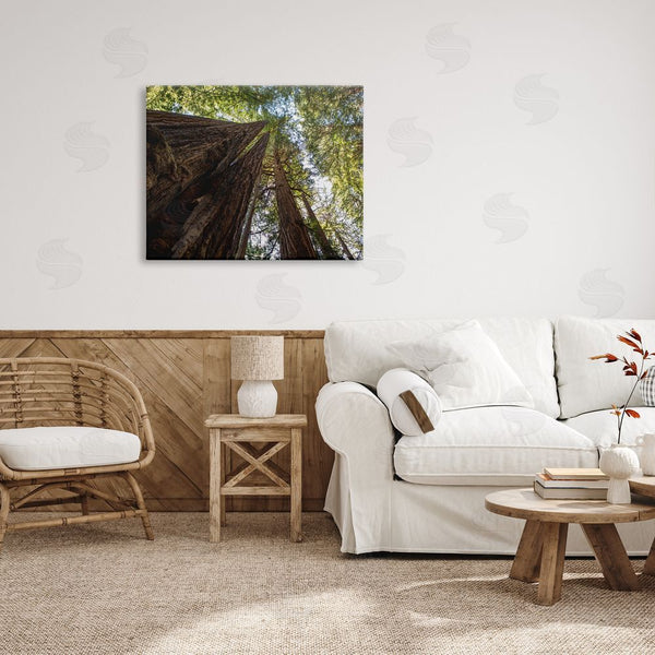 Stupell Industries Aaron Matheson | Tall Trees Looking Upwards Nature Forest Photography Wall Art