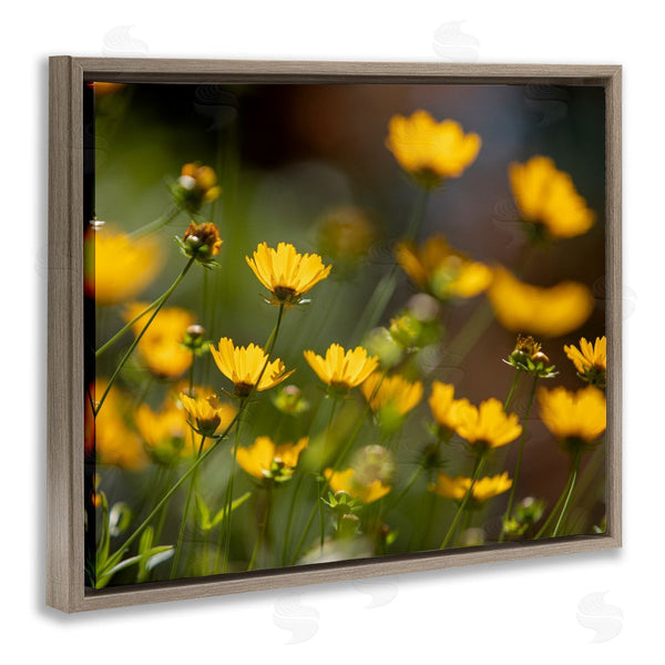 Stupell Industries Aaron Matheson | Yellow Daisy Wildflower Field Wall Art