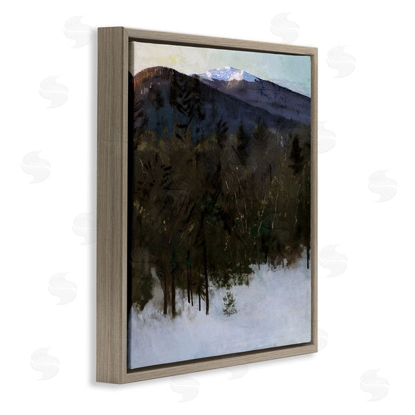 Stupell Industries Abbott Handerson Thayer | Winter Nature Painting
