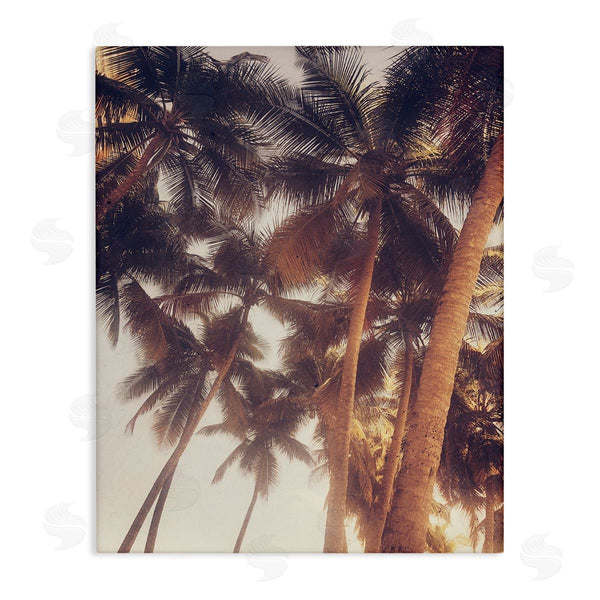 stupell industries Acosta | Sun Bleached Palm Tree Tops Vintage Summer Sky Wall Art
