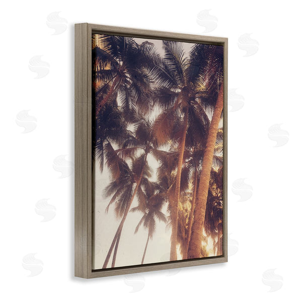 Stupell Industries Acosta | Sunlit Palm Tree Wall Art
