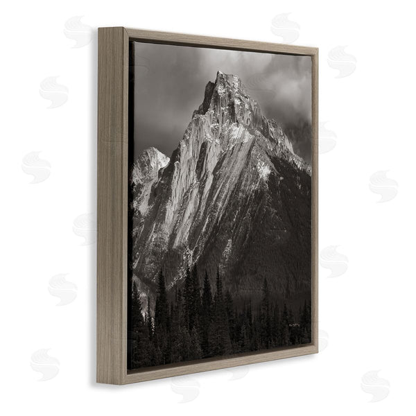 Stupell Industries Alan Majchrowicz | Canadian Rockies View Wall Art