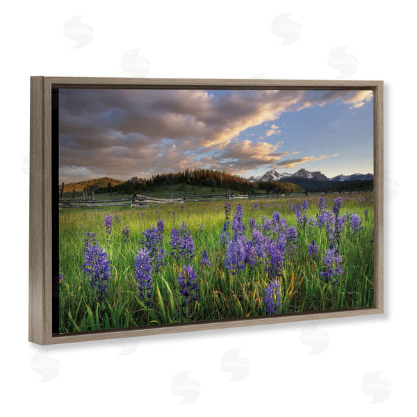 Stupell Industries Alan Majchrowicz | Lavender Bloom Meadows