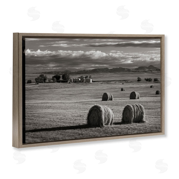 Stupell Industries Alan Majchrowicz | Montana Hay Bales Wall Art