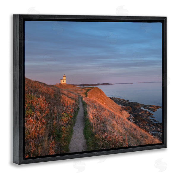 Stupell Industries Alan Majchrowicz | Path To Lighthouse